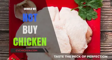 Rethinking Chicken Consumption: Ethical, Environmental, and Health Concerns Explored