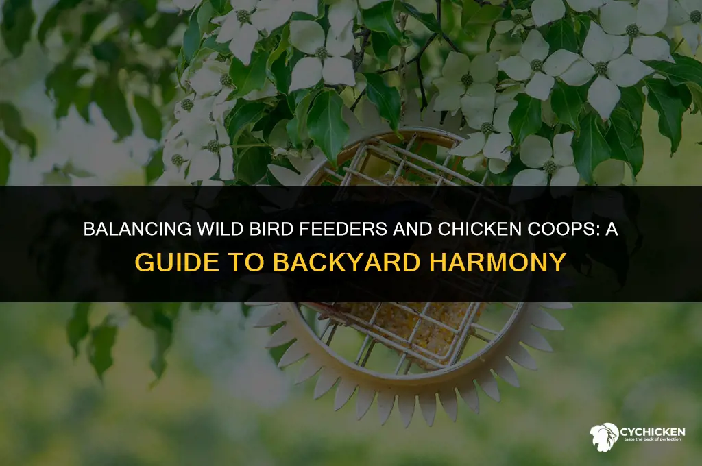 should wild bird feeder be near chicken coop