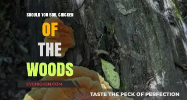 Boiling Chicken of the Woods: Safe Cooking Tips and Benefits