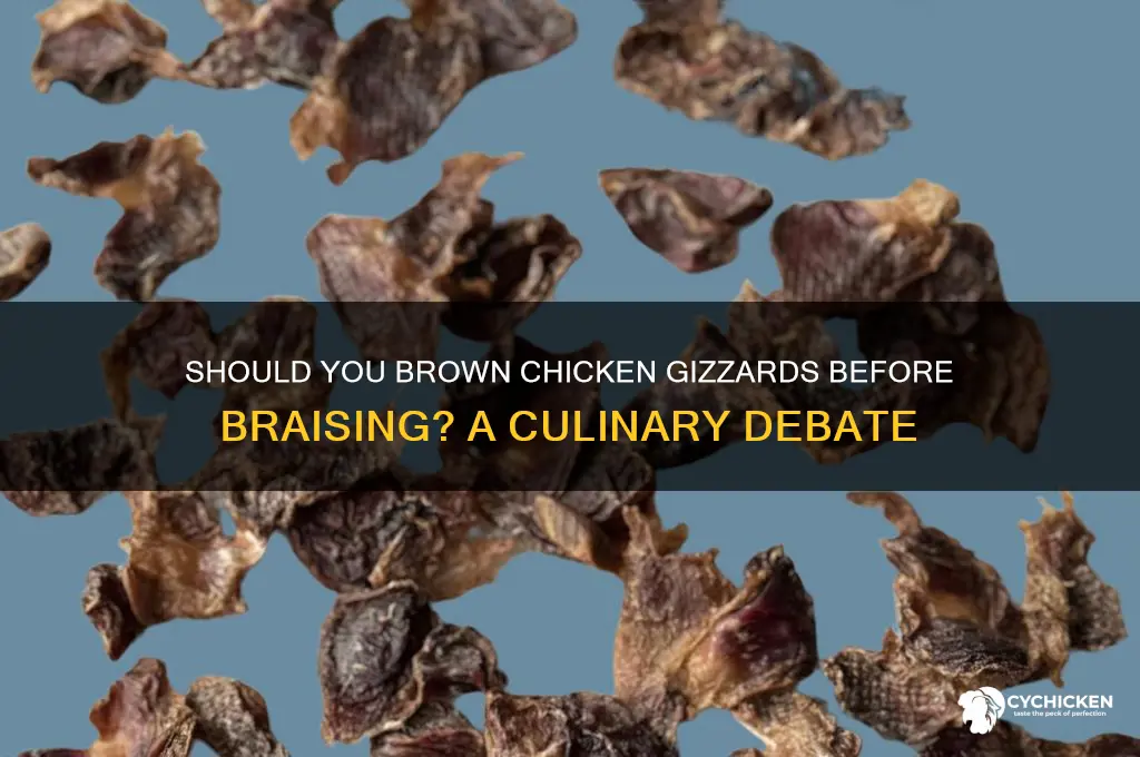should you brown chicken gizzards before braising
