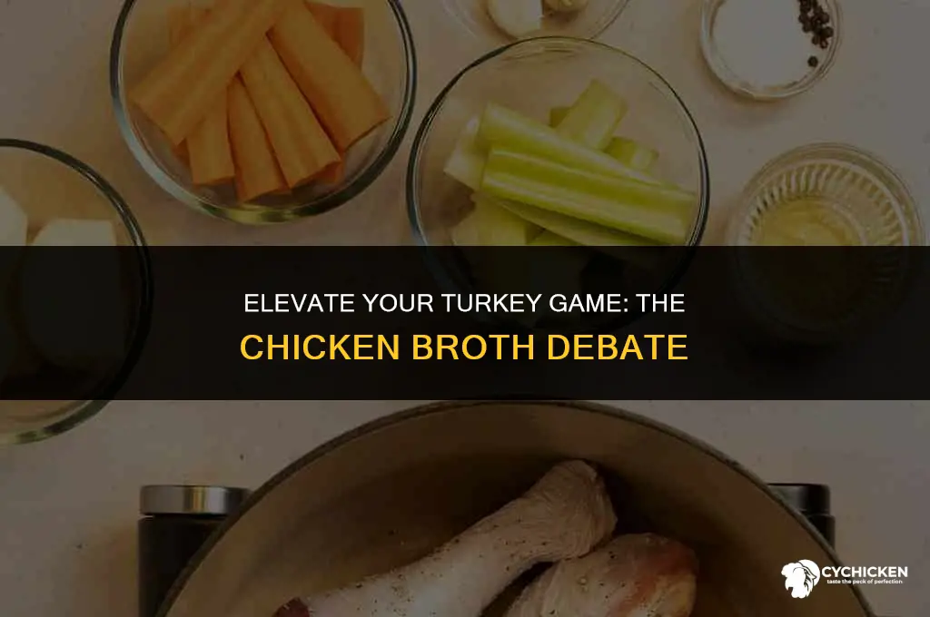 should you cook turkey in chicken broth