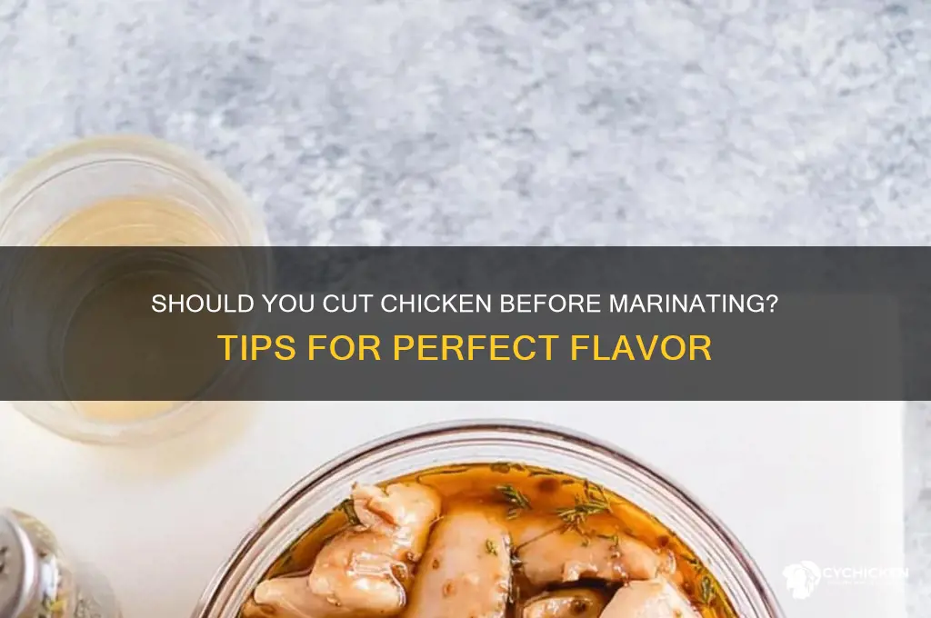 should you cut up chicken before marinating