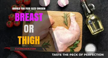 Chicken Breast vs. Thigh: Which is Best for Your Cat?