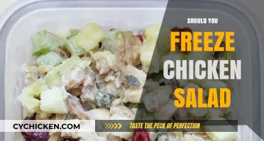 The Great Chicken Salad Freeze: A Guide to Safe Storage
