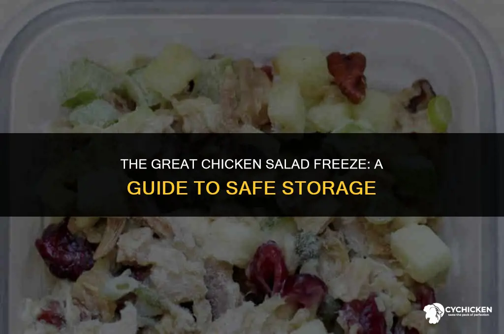 should you freeze chicken salad