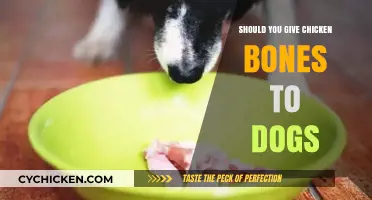 Chicken Bones and Dogs: Safe Treat or Hidden Danger?