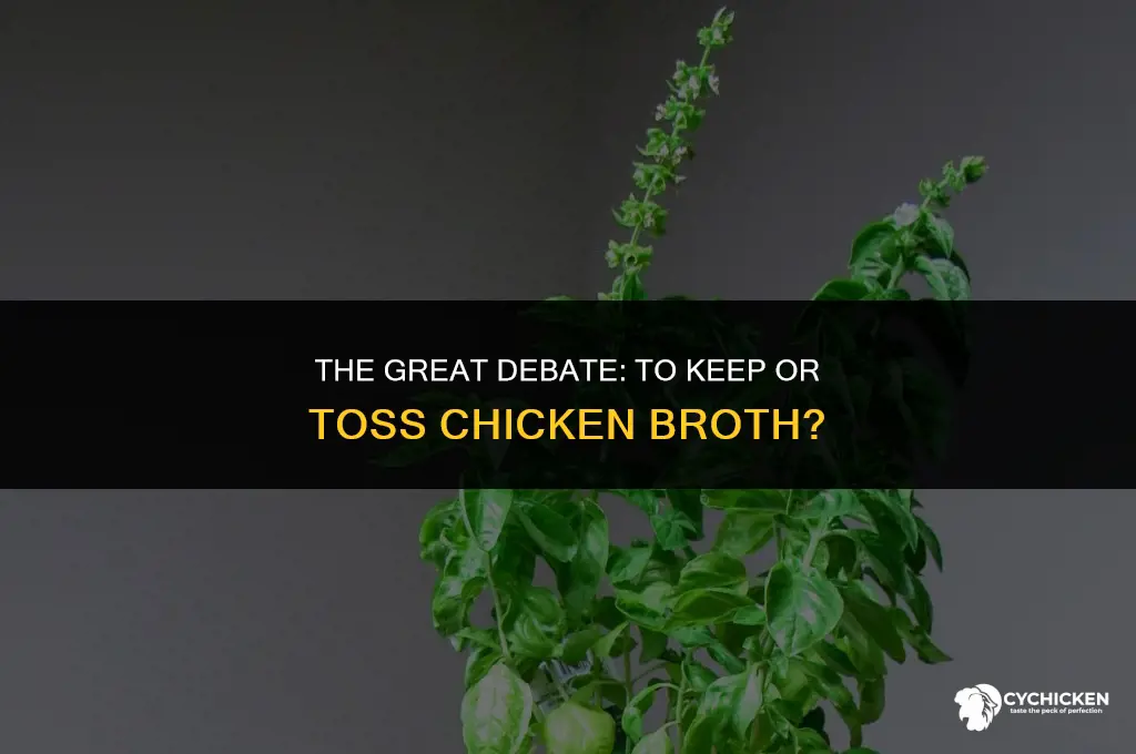 should you keep chicken broth