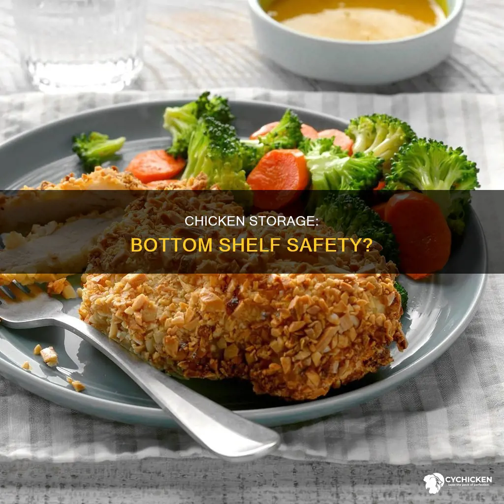 should you keep raw chicken on the bottom shelf