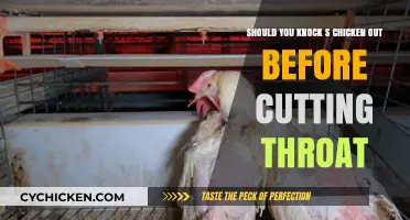 The Kindest Way to Slaughter a Chicken?