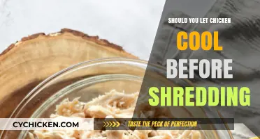 Cool Before Shredding: The Ultimate Guide to Perfectly Shredded Chicken