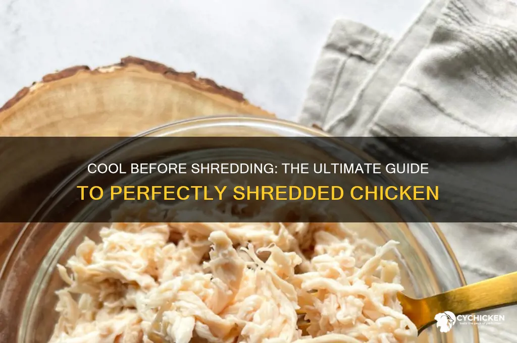 should you let chicken cool before shredding