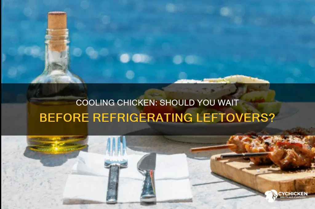 should you let chicken cool down before refrigerating