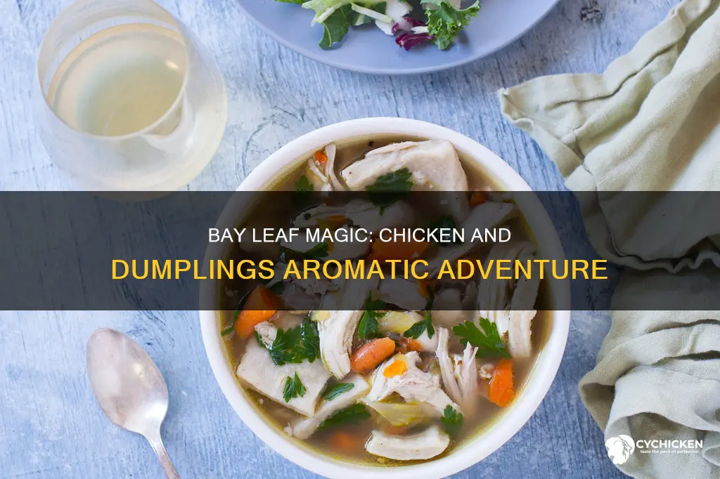 should you put a bay leaf on chicken and dumings