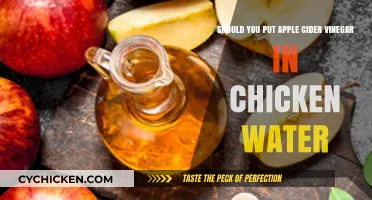 Apple Cider Vinegar in Chicken Water: Good or Bad?