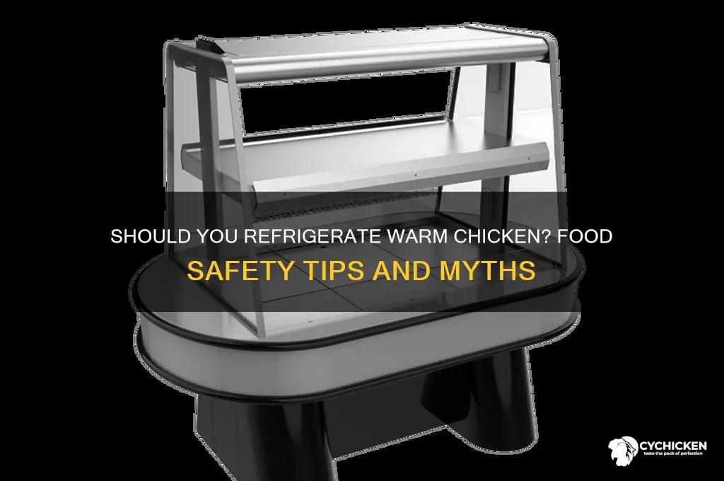 should you refrfigerate chicken when its still warm