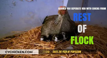 Separating Hens with Chicks: When and Why?