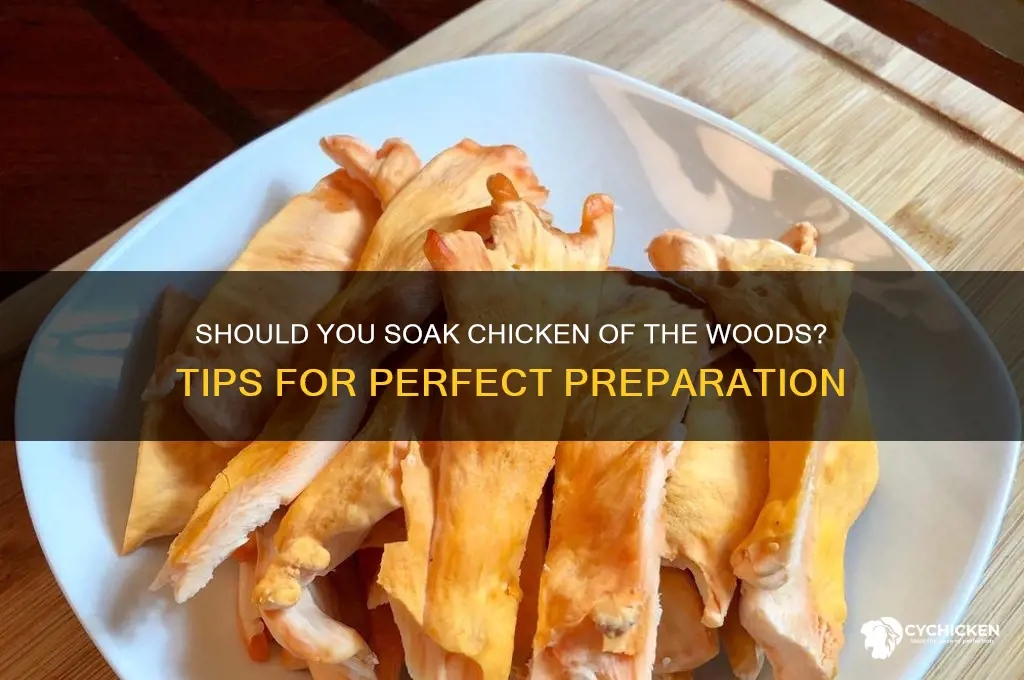 should you soak chicken of the woods