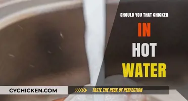 Should You Cook Chicken in Hot Water? Pros, Cons, and Tips