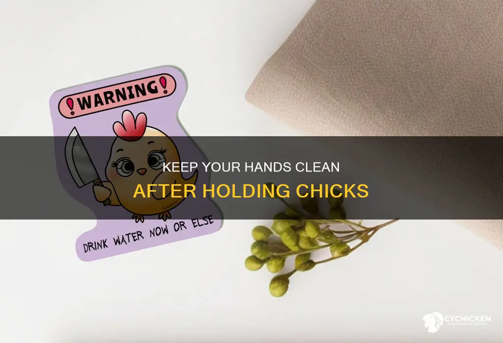 should you wash your hands after holding a chick