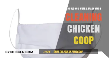 Protect Yourself: The Importance of Wearing a Mask While Cleaning Your Chicken Coop