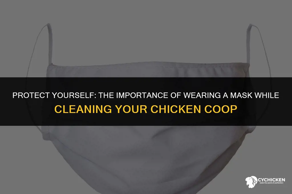 should you wear a mask when cleaning chicken coop