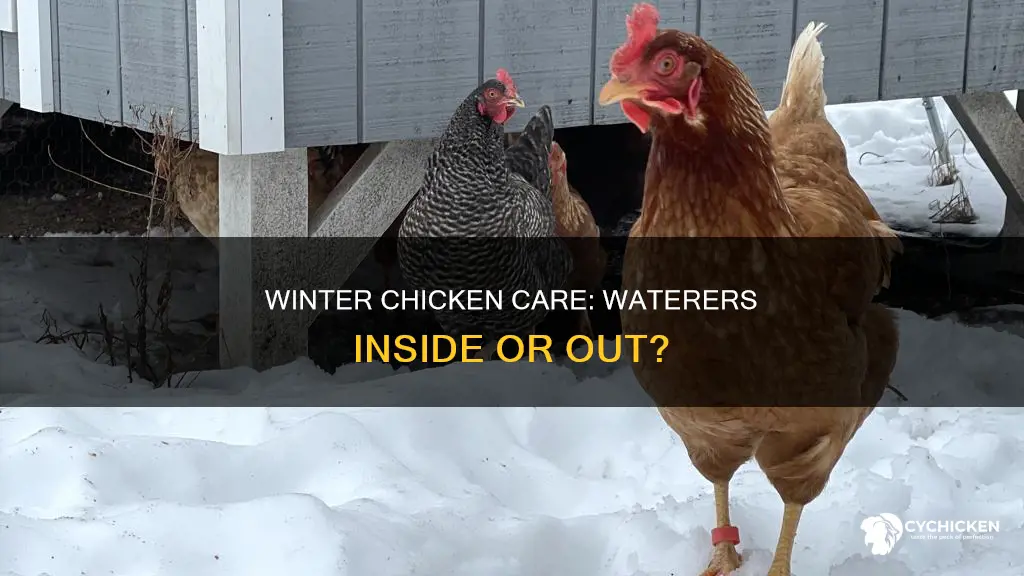 should your chicken waterer be inside during the winter