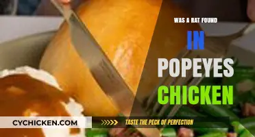 Popeyes Chicken Scandal: The Truth About the Rat Allegation