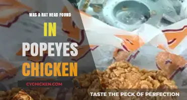 Popeyes Chicken Scandal: Rat Head Allegation Shocks Customers