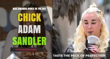 Amanda Bynes and Adam Sandler: The Hot Chick
