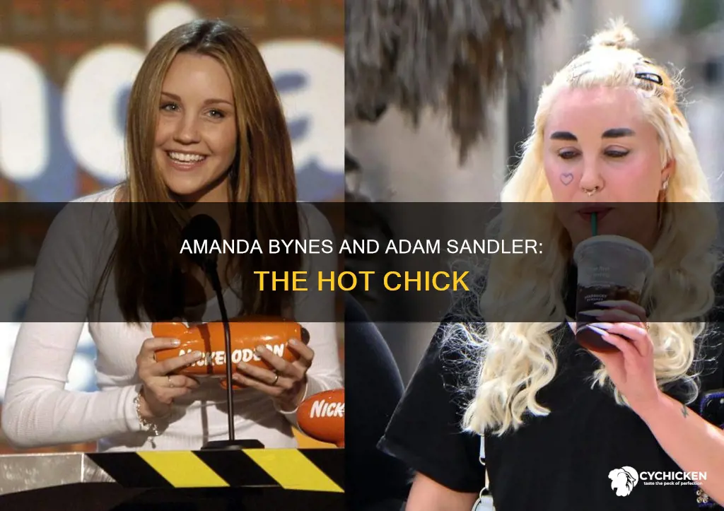 was amanda bynes in the hot chick adam sandler