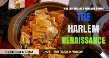 Chicken and Dumplings: A Harlem Renaissance Comfort Food Legacy