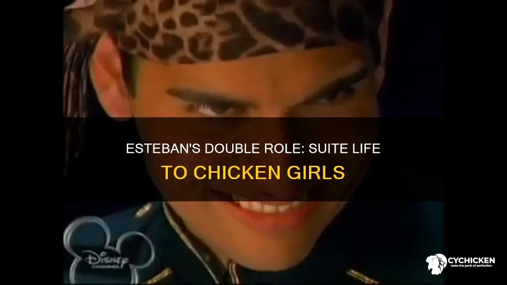 was esteban from the suite life in chicken girls
