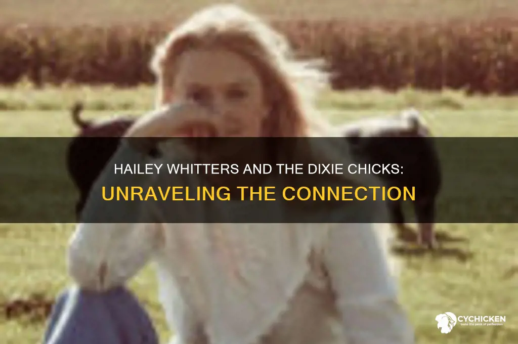 was hailey whitters in the dixie chicks