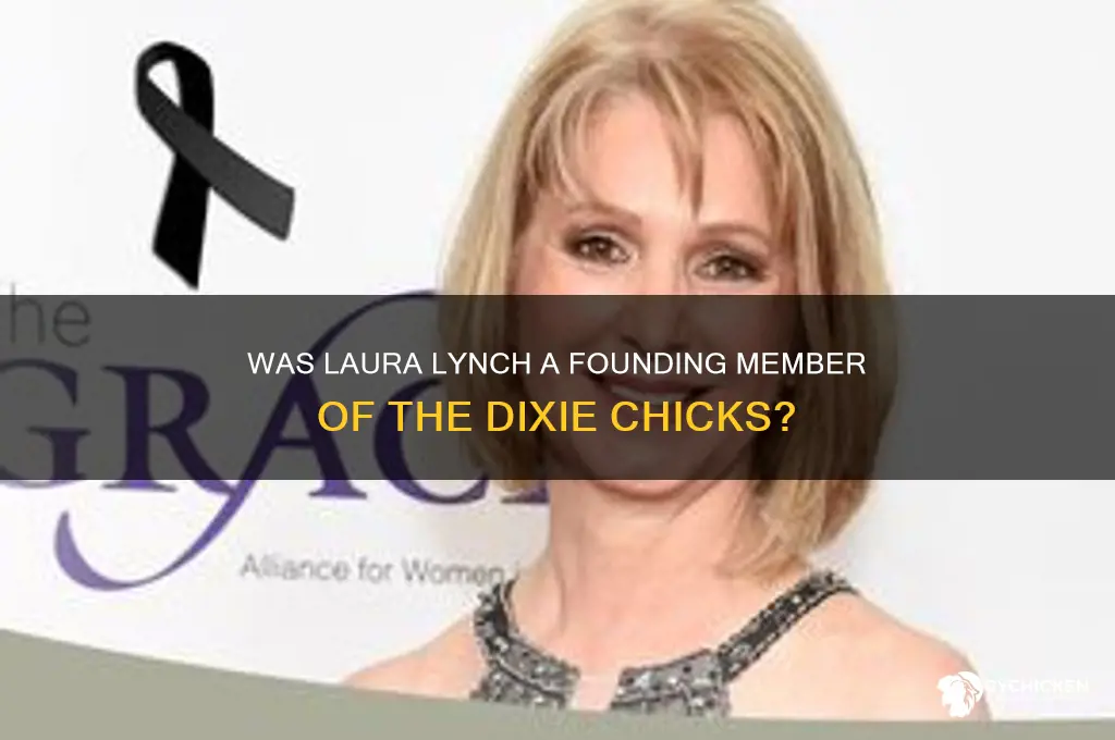 was laura lynch one of the dixie chicks