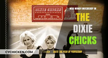 Was Mindy McCready Ever a Member of the Dixie Chicks?