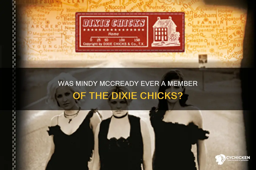 was mindy mccready in the dixie chicks