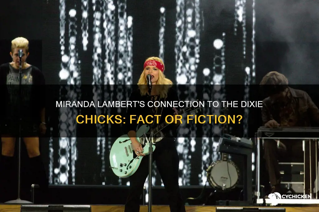 was miranda lambert in the dixie chicks