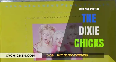 Was Pink Ever a Member of the Dixie Chicks?