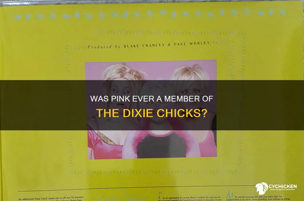 was pink part of the dixie chicks