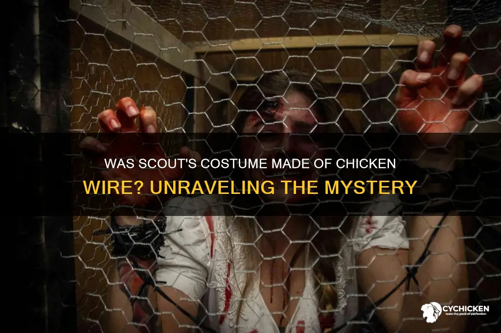was scout