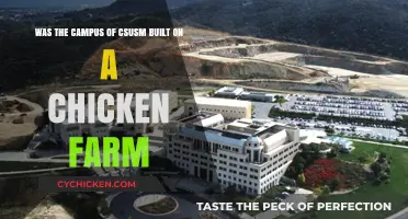 CSUSM Campus: From Chicken Farm to University