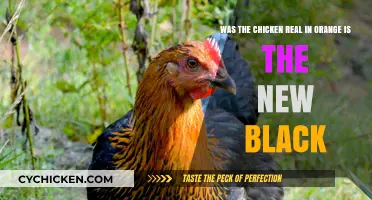 The Chicken in Orange Is the New Black: Real or Not?
