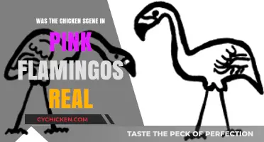 Pink Flamingos' Infamous Chicken Scene: Real or Cinematic Shock?