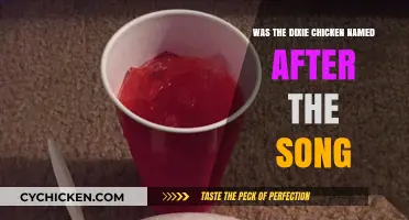 Dixie Chicken: Song Inspiration or Just a Coincidence?