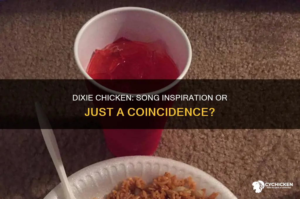 was the dixie chicken named after the song
