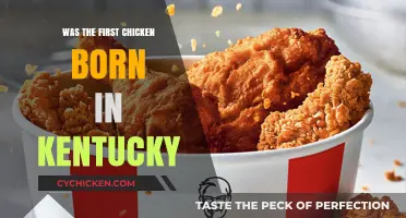 Was the First Chicken Born in Kentucky? Unraveling the Poultry Puzzle