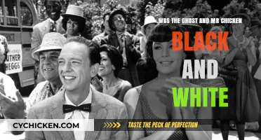 Ghost and Mr. Chicken: A Black-and-White Mystery