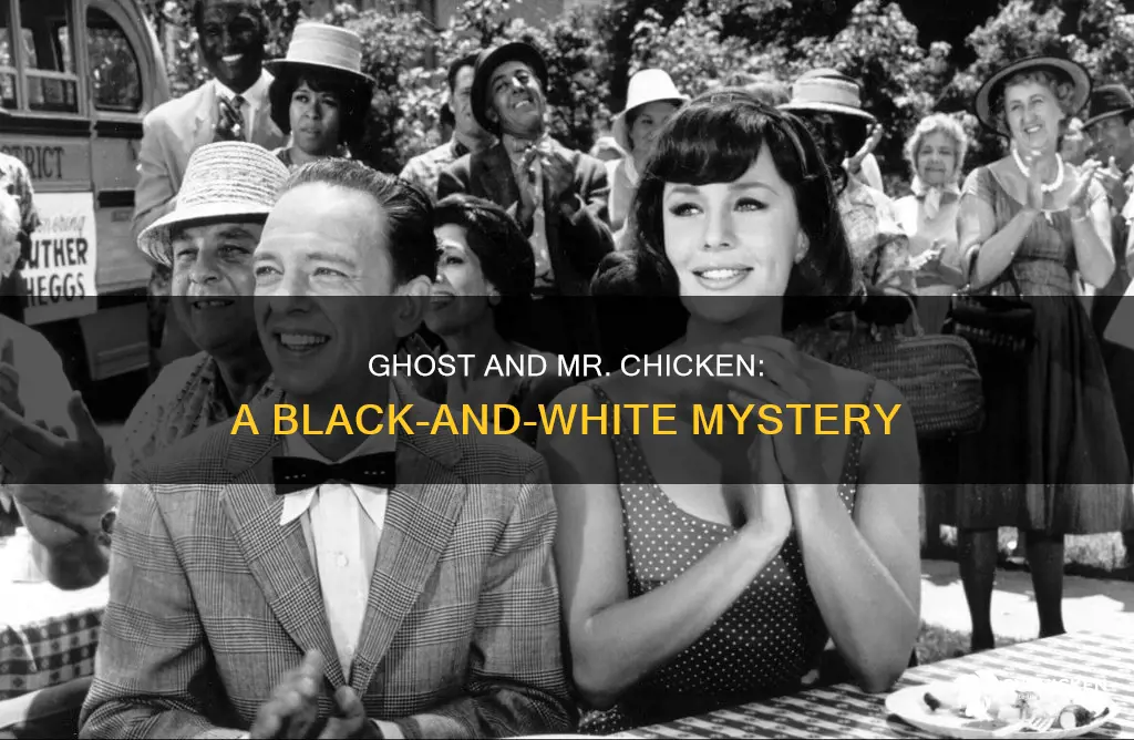 was the ghost and mr chicken black and white