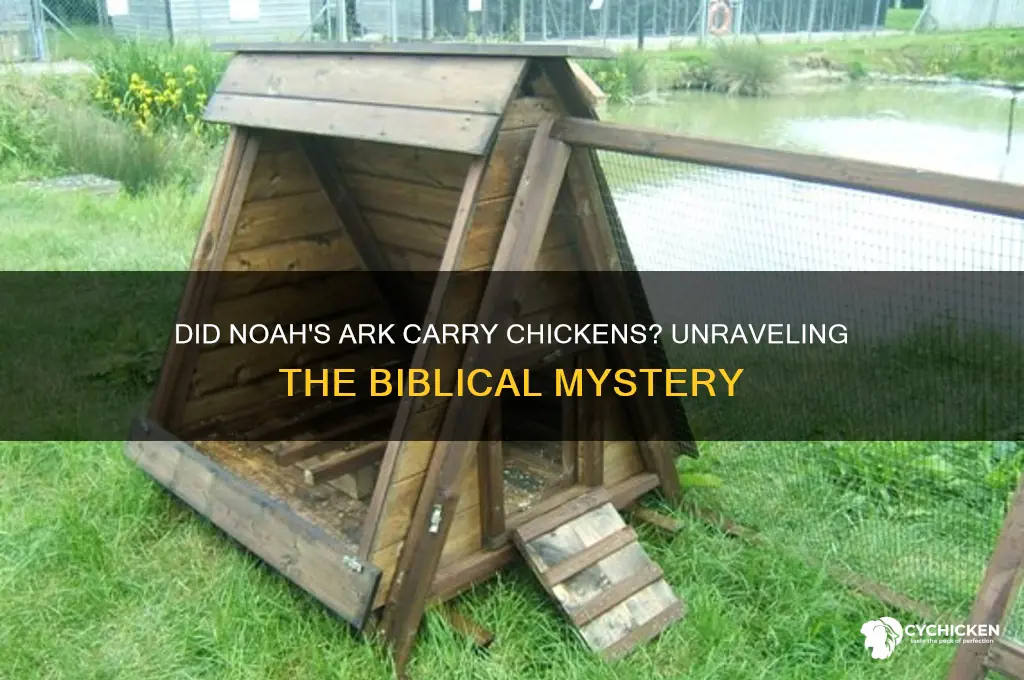 was there a chicken on the noahs acr