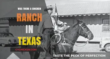 Uncovering the Truth: Did Texas Host the Infamous Chicken Ranch?